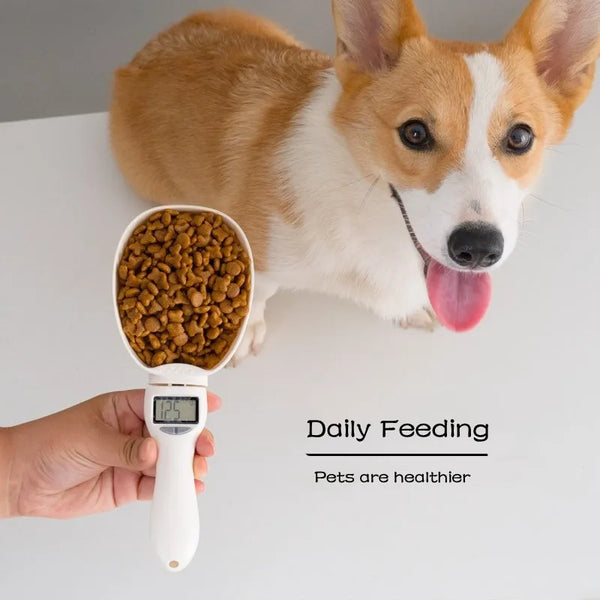 Smart Digital Measuring Spoon