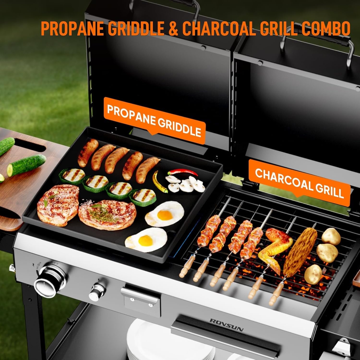 Propane Charcoal Grill Multifunctional Lid Outdoor Backyard-1